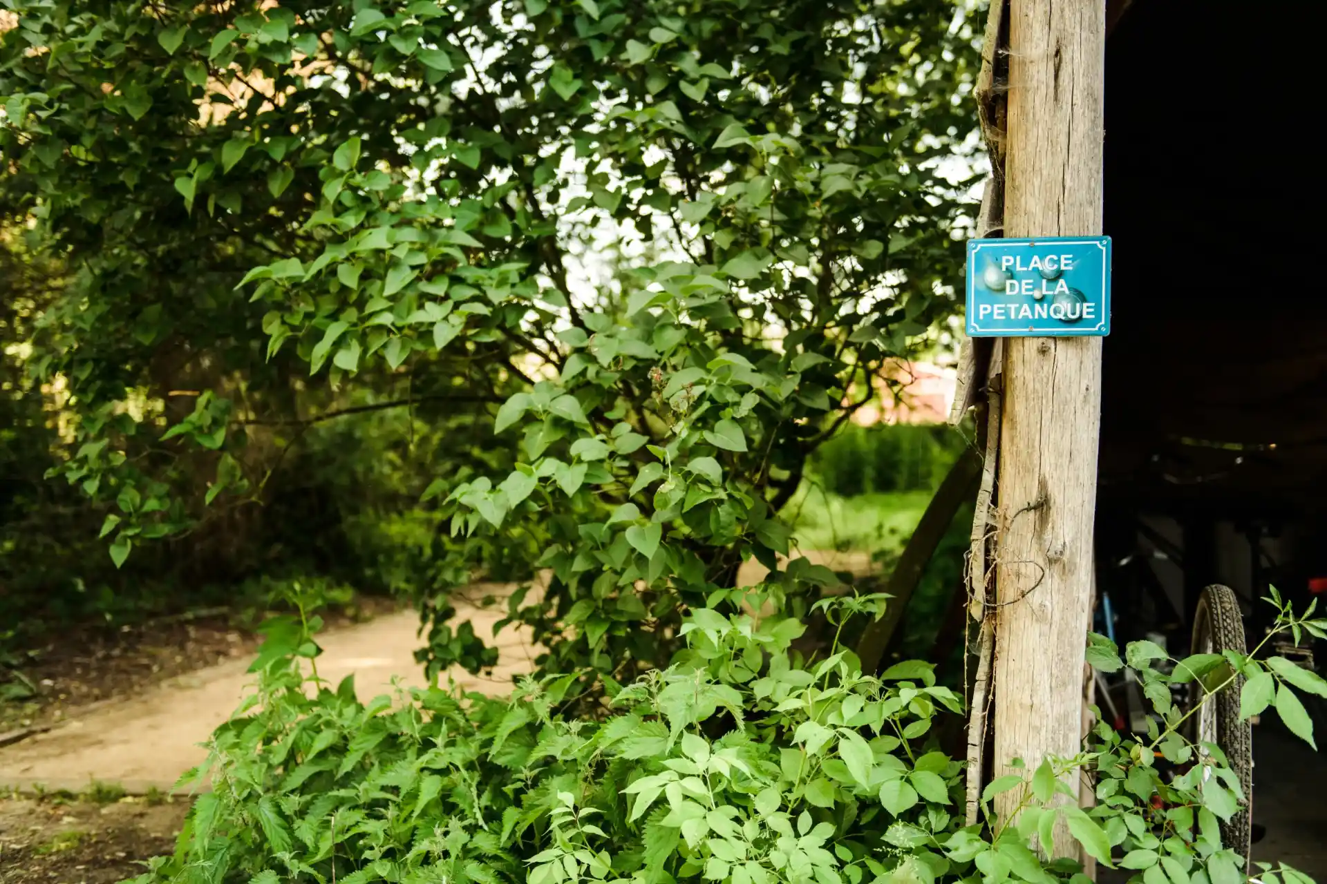 132_VillaVigor_51